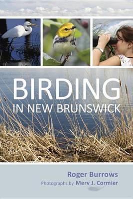 Book cover for Birding in New Brunswick