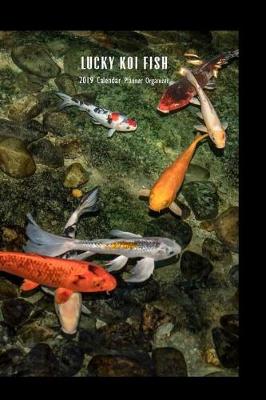 Book cover for Lucky Koi Fish 2019 Calendar Planner Organizer