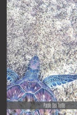 Book cover for Purple Sea Turtle