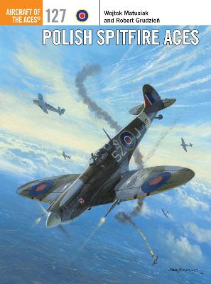 Book cover for Polish Spitfire Aces