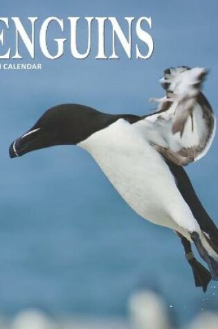 Cover of Penguins