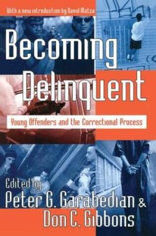 Cover of Becoming Delinquent