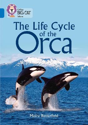 Book cover for The Life Cycle of the Orca