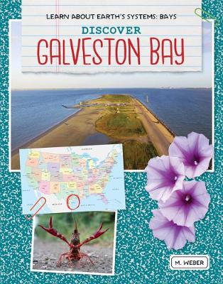 Book cover for Discover Galveston Bay