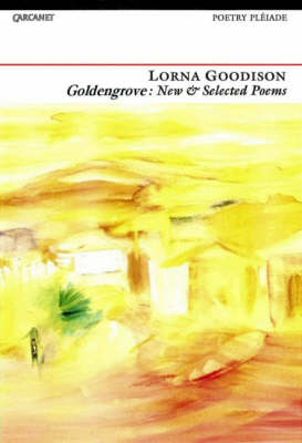 Book cover for Goldengrove