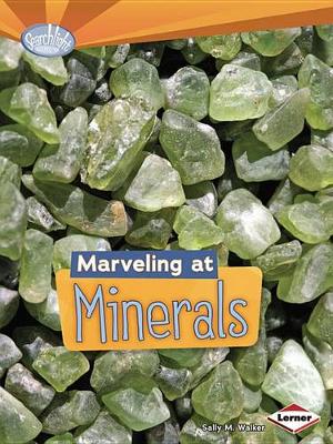 Book cover for Marveling at Minerals