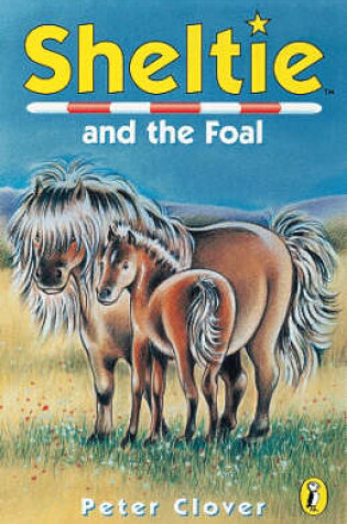 Cover of Sheltie And the Foal