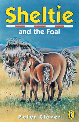 Book cover for Sheltie And the Foal