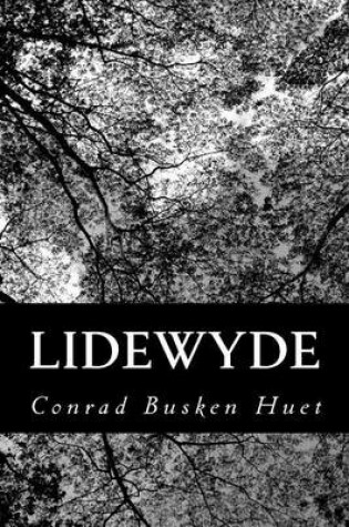 Cover of Lidewyde