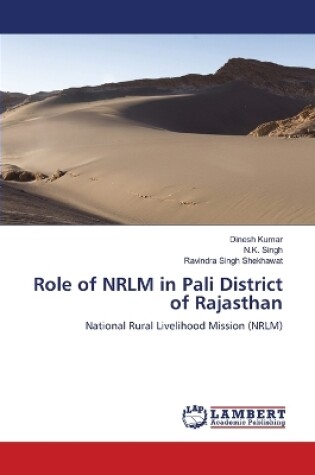 Cover of Role of NRLM in Pali District of Rajasthan