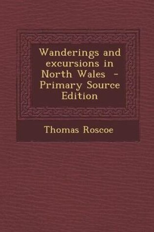 Cover of Wanderings and Excursions in North Wales - Primary Source Edition