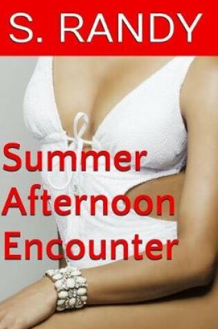 Cover of Summer Afternoon Encounter