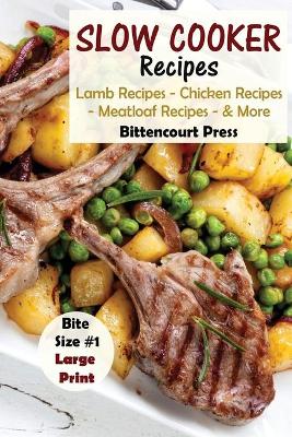 Book cover for Slow Cooker Recipes - Bite Size #1