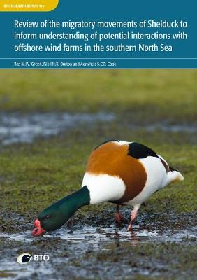 Book cover for Review of the migratory movements of Shelduck to inform understanding of potential interactions with offshore wind farms in the southern North Sea.