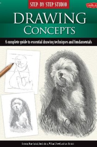 Cover of Drawing Concepts
