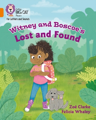 Book cover for Witney and Boscoe's Lost and Found