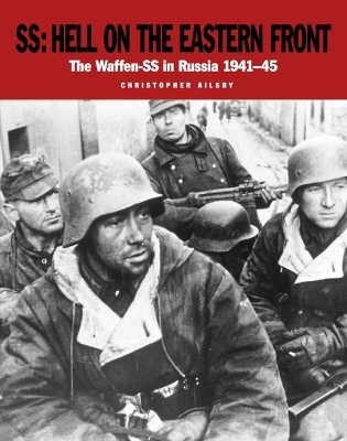 Book cover for Ss Hell on the Eastern Front