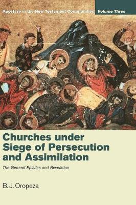 Book cover for Churches under Siege of Persecution and Assimilation