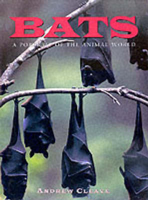 Book cover for Bats