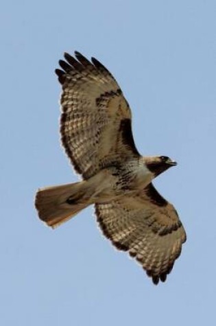 Cover of Soaring Red Tailed Hawk Bird Journal