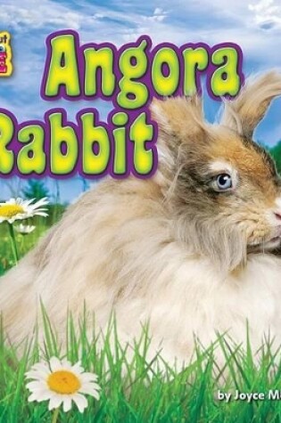 Cover of Angora Rabbit