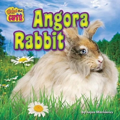 Book cover for Angora Rabbit