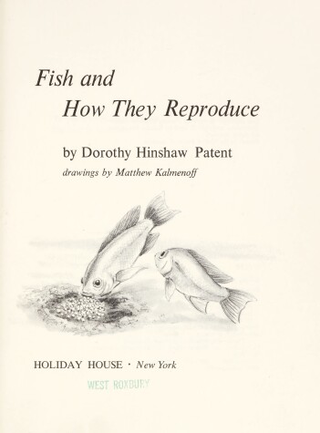 Book cover for Fish and How They Reproduce