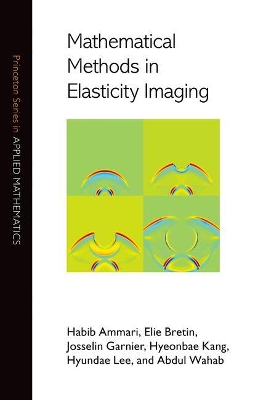 Cover of Mathematical Methods in Elasticity Imaging