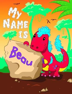 Book cover for My Name is Beau