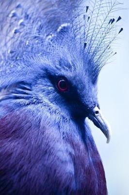 Book cover for Bright Blue Crowned Pigeon Journal