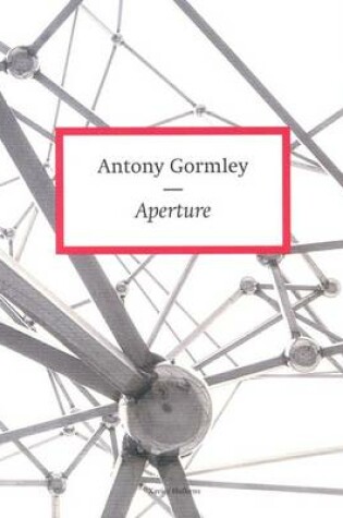 Cover of Antony Gormley