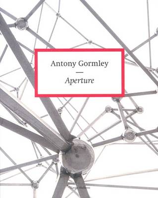 Book cover for Antony Gormley