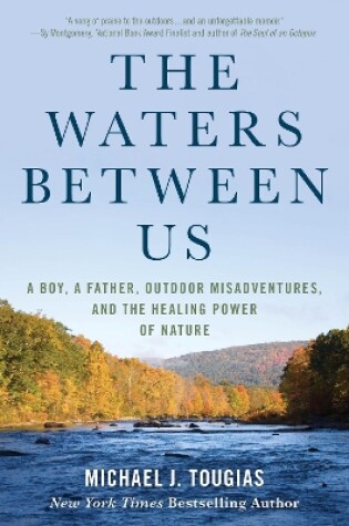 Cover of The Waters Between Us