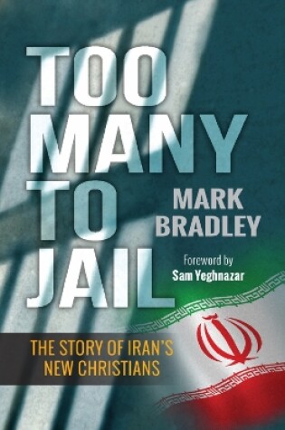 Cover of Too Many to Jail