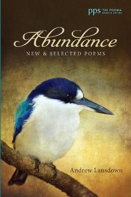 Cover of Abundance