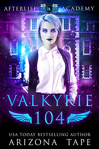 Book cover for Valkyrie 104