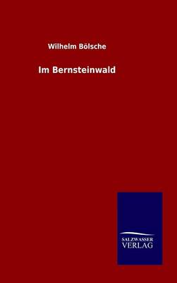 Book cover for Im Bernsteinwald