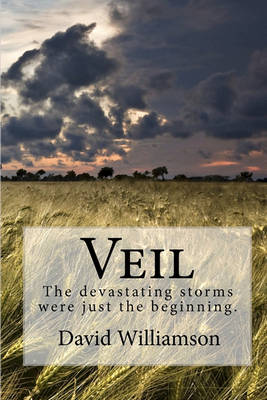 Book cover for Veil