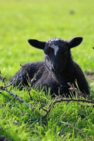 Cover of A Sweet Lamb in the Meadow Journal