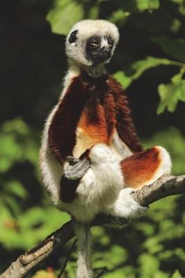 Book cover for Coquerel's Sifaka Lemur Doing Some Zen Meditation Journal