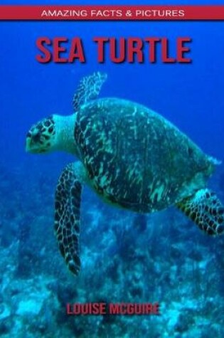 Cover of Sea turtle