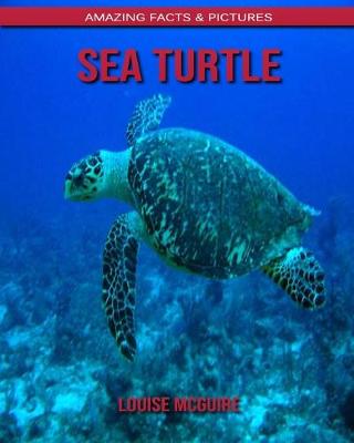 Book cover for Sea turtle