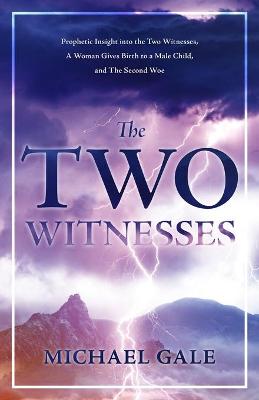 Book cover for The Two Witnesses