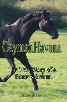 Book cover for CaymanHavana