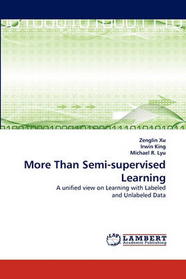 Book cover for More Than Semi-Supervised Learning