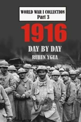 Cover of 1916 Day by Day