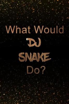 Book cover for What Would DJ Snake Do?