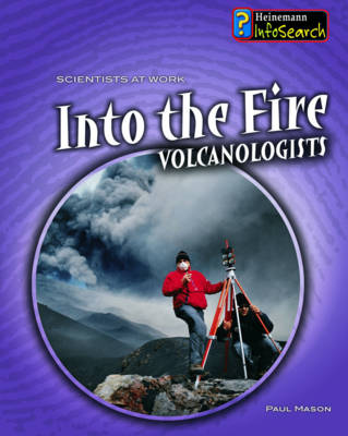 Book cover for Into the Fire