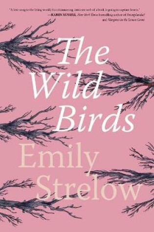 Cover of The Wild Birds