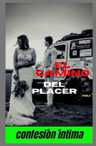Cover of El camino del placer (vol 1)